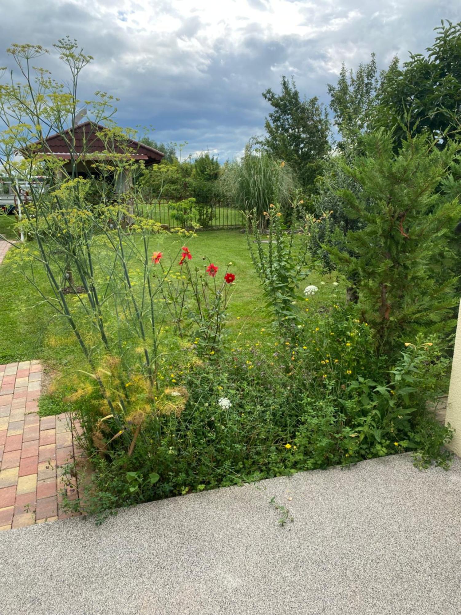 Ferienwohnung An Der Unditz 2 Neuried  외부 사진